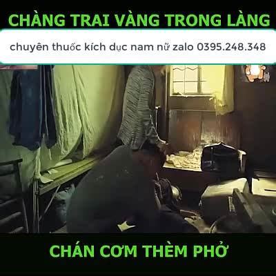 jav pl|Phở JAV